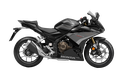 6192116f59582.webp