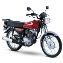 TMX125 ALHPA